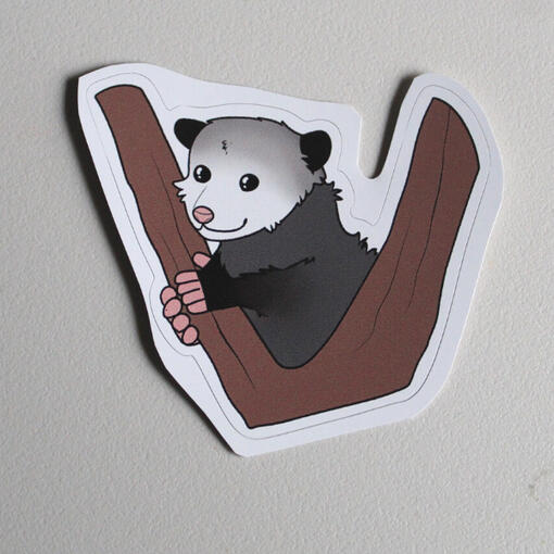 Possum In Tree