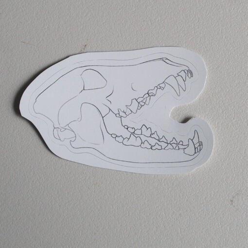 Wolf Skull