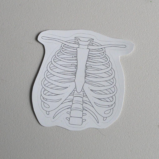 Ribcage