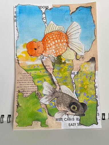 $12 CAD Goldfish